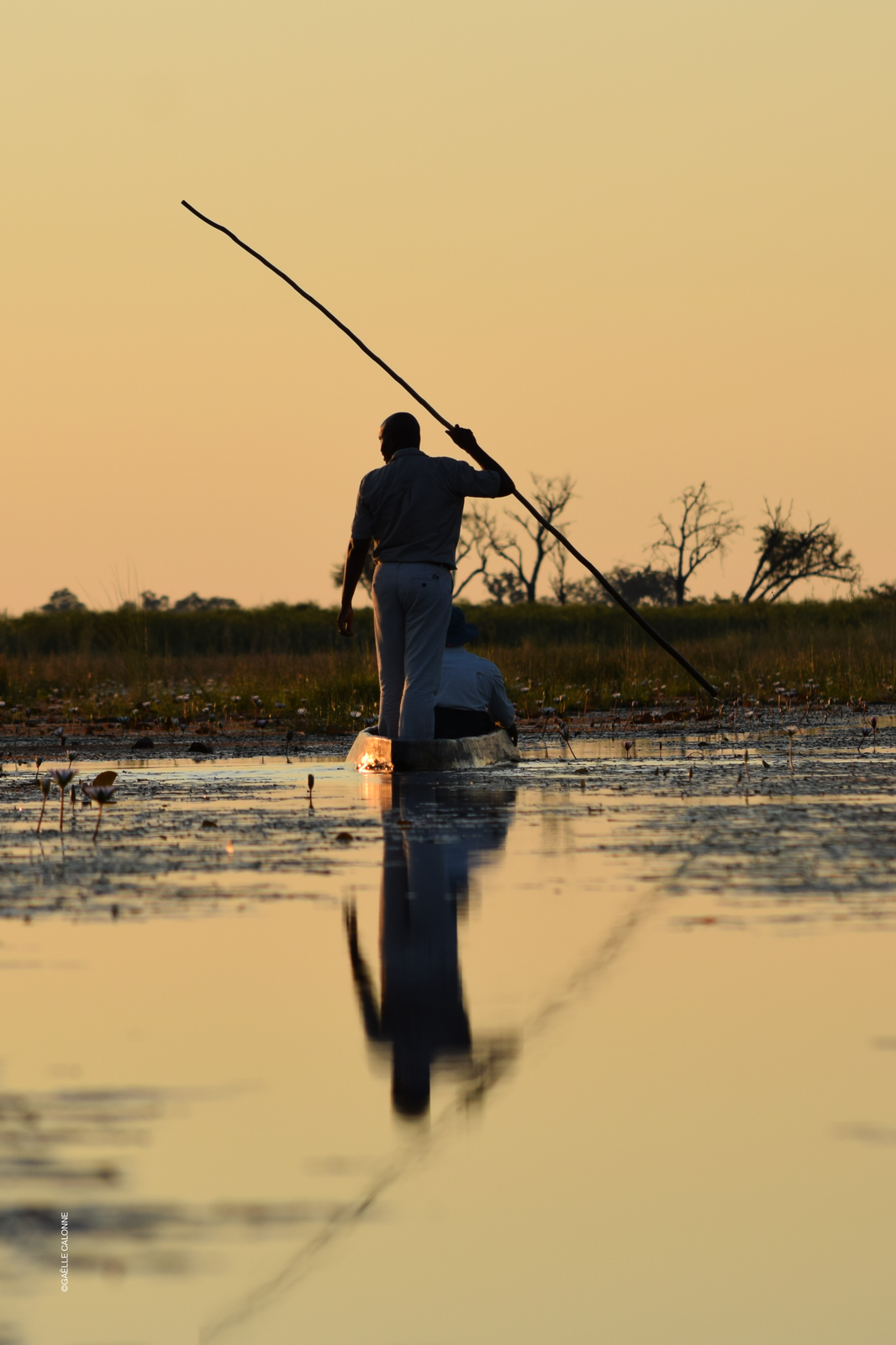 Voyage en pleine nature au Botswana : 3 lieux à découvrir