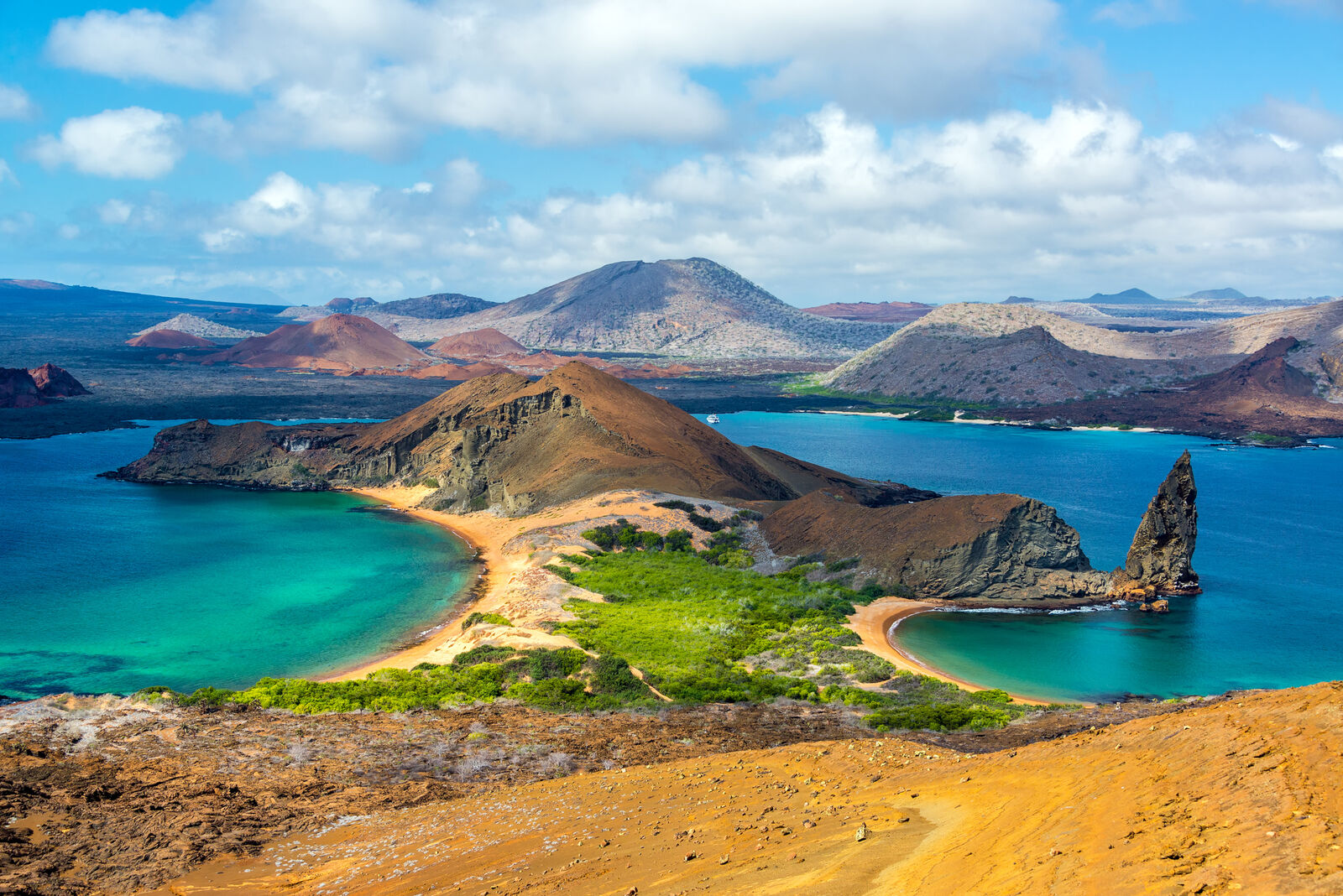 Découverte des Galapagos